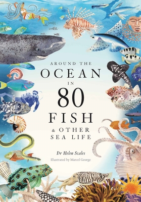 Around the Ocean in 80 Fish and other Sea Life By Helen Scales, Marcel George (Illustrator) Cover Image