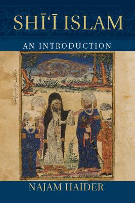 Shi'i Islam (Introduction to Religion) Cover Image