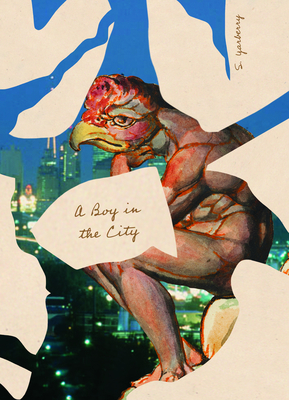A Boy in the City By S. Yarberry Cover Image