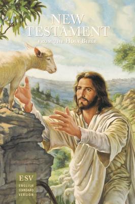 New Testament Outreach Bible Case of 50 By Concordia Publishing House (Prepared by) Cover Image