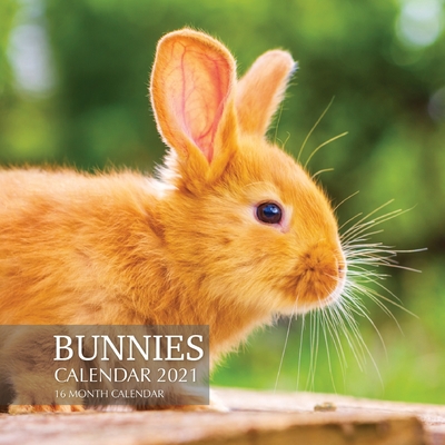 Bunnies Calendar 2021: 16 Month Calendar
