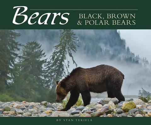 Bears: Black, Brown & Polar Bears (Wildlife Appreciation) By Stan Tekiela Cover Image
