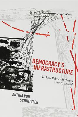 Democracy's Infrastructure: Techno-Politics and Protest After Apartheid (Princeton Studies in Culture and Technology #9)