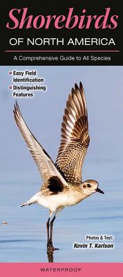Shorebirds of North America: A Comprehensive Guide to All Species