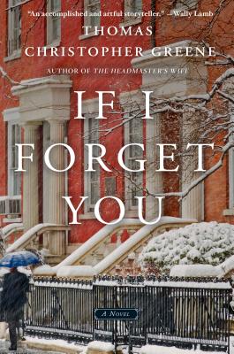 Cover Image for If I Forget You: A Novel