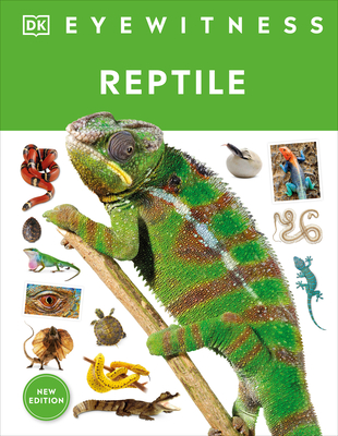 Eyewitness Reptile (DK Eyewitness) By DK Cover Image