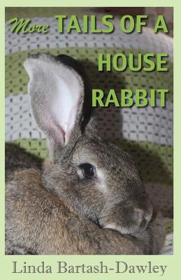 Big house clearance rabbit