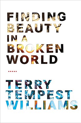 Cover for Finding Beauty in a Broken World