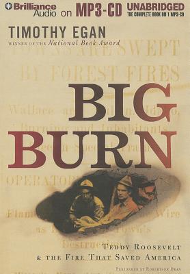 Cover for The Big Burn