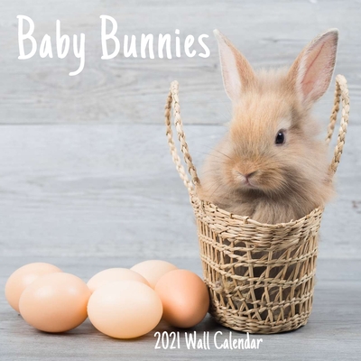 Baby Bunnies 2021 Wall Calendar: Baby Bunnies 2021 Calendar, 18 Months. Cover Image