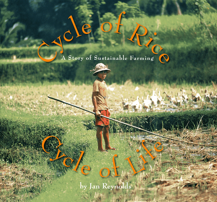 Cycle of Rice, Cycle of Life: A Story of Sustainable Farming By Jan Reynolds, Jan Reynolds (Illustrator) Cover Image