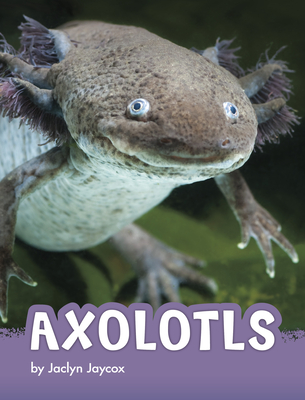 Axolotls (Animals) By Jaclyn Jaycox Cover Image