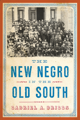 The New Negro in the Old South (The American Literatures Initiative) By Gabriel A. Briggs Cover Image