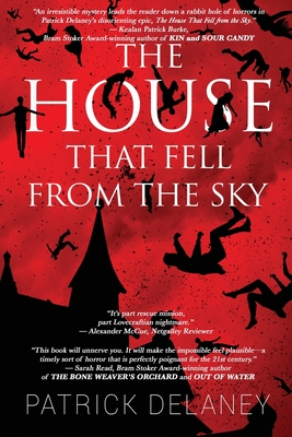 The House that fell from the Sky By Patrick Delaney Cover Image