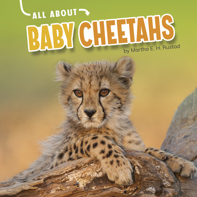 All about Baby Cheetahs By Martha E. H. Rustad Cover Image