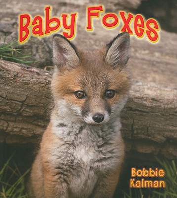 Baby Foxes By Bobbie Kalman Cover Image