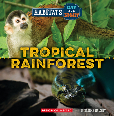 Tropical Rainforest (Wild World: Habitats Day and Night) By Brenna Maloney Cover Image