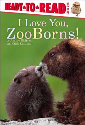 I Love You, ZooBorns!: Ready-to-Read Level 1