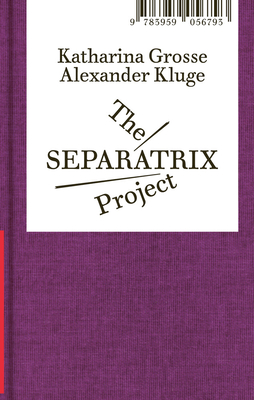 Alexander Kluge and Katharina Grosse: The Separatrix Project: Volte Expanded #10
