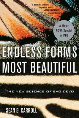 Cover for Endless Forms Most Beautiful