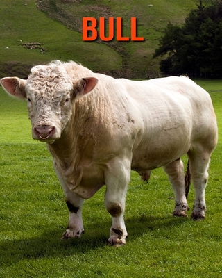 Bull: Learn About Bull and Enjoy Colorful Pictures Cover Image