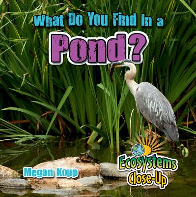 What Do You Find in a Pond? (Ecosystems Close-Up)