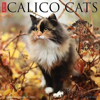 Just Calico Cats 2024 12 X 12 Wall Calendar Cover Image