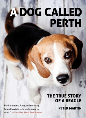 A Dog Called Perth: The True Story of a Beagle By Peter Martin Cover Image