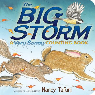 The Big Storm: A Very Soggy Counting Book (Classic Board Books) Cover Image