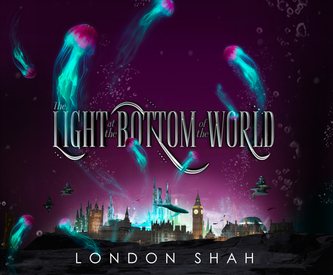 Cover for The Light at the Bottom of the World