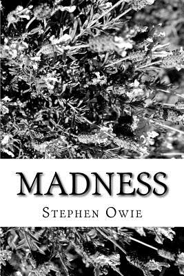 Madness By Stephen Owie Cover Image