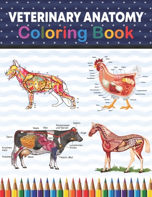 Veterinary Anatomy Coloring Book: Veterinary Coloring Work book for Medical and Nursing Students. Children's Science Books. Veterinary Anatomy Colorin By Sreijeylone Publication Cover Image