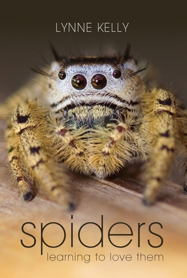 Spiders: Learning to Love Them By Lynne Kelly Cover Image