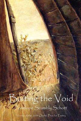 Cover for Baiting the Void