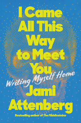 Cover for I Came All This Way to Meet You