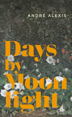 Days by Moonlight Cover Image