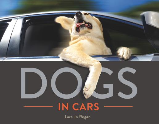 Dogs in Cars