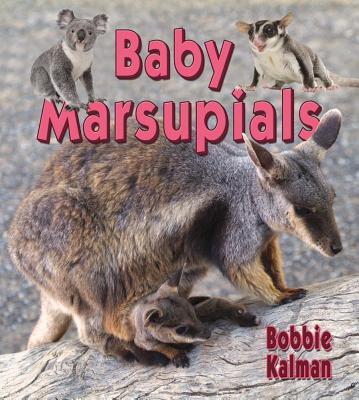Baby Marsupials (It's Fun to Learn about Baby Animals) Cover Image