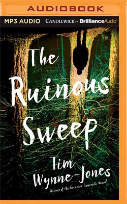 The Ruinous Sweep Cover Image