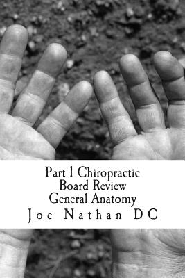 Part 1 Chiropractic Board Review: General Anatomy Cover Image