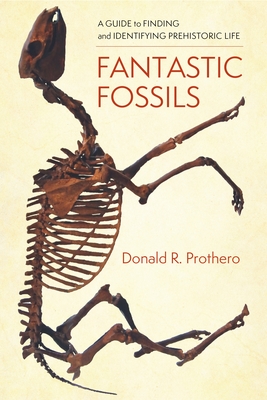 Fantastic Fossils: A Guide to Finding and Identifying Prehistoric Life By Donald R. Prothero Cover Image