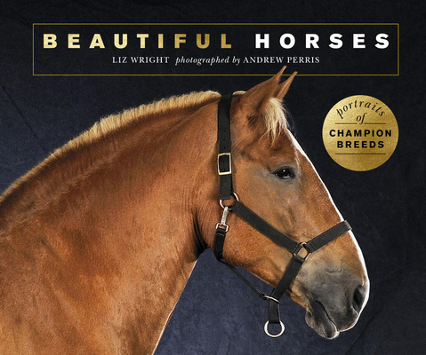 Beautiful Horses: Portraits of champion breeds (Beautiful Animals) By Liz Wright Cover Image