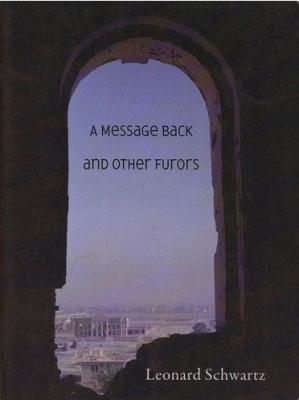 Cover for A Message Back and Other Furors
