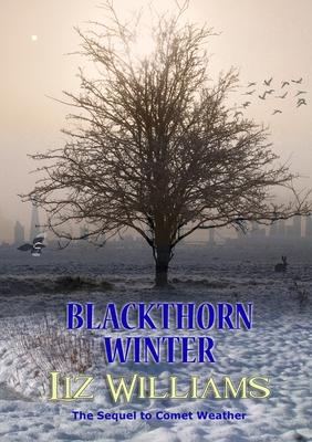 Blackthorn Winter By Liz Williams Cover Image