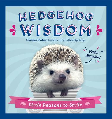 Hedgehog Wisdom: Little Reasons to Smile Cover Image