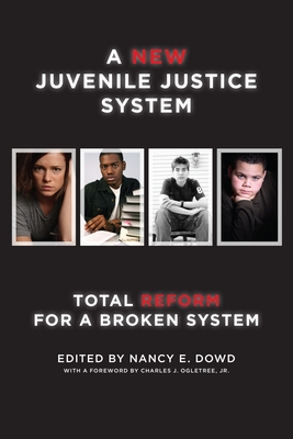 A New Juvenile Justice System: Total Reform for a Broken System (Families #6)