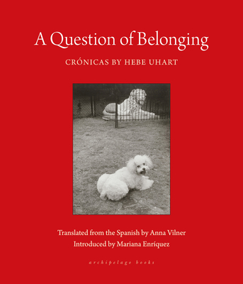 A Question of Belonging: Crónicas Cover Image