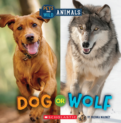 Dog or Wolf (Wild World: Pets and Wild Animals) Cover Image