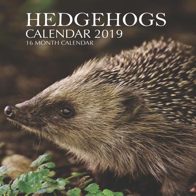 Hedgehogs Calendar 2019: 16 Month Calendar By Mason Landon Cover Image
