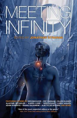 Cover for Meeting Infinity (The Infinity Project #4)